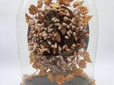 une cloche en verre contenant un bouquet de fleurs