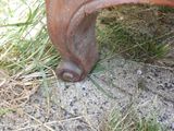 un gros plan du sabot d'un cheval posé au sol