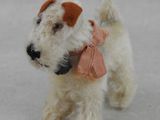 un petit chien blanc et marron avec un nœud rose autour du cou