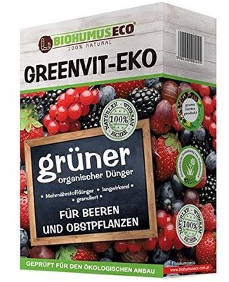 greenvit - mélange pour boisson aux fruits bio eko