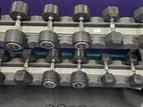 un rack contenant des haltères et des poids dans une salle de sport