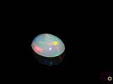 a close up of a white oplite in the dark