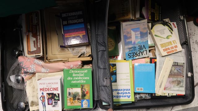 Deux valises garnies de livres, et vaisselle courante, un tourne ...