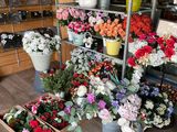 many different types of flowers on display in the store