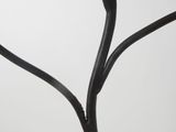branch of a tree in the shape of a heart on a white background