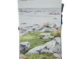 a watercolor painting of rocks and grass on the beach