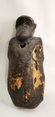 Singe bulul cameroun