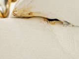 a close up of a white couch with a chain on it