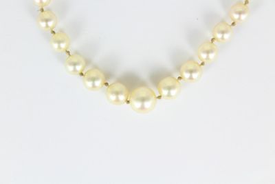 gros plan d'un collier de perles sur une surface blanche