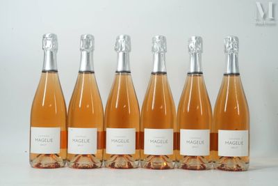 six bouteilles de vin sont alignées dans une rangée