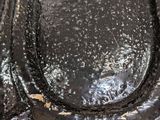 a close up of a toilet seat that has been painted black