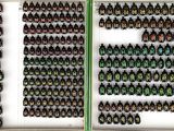 many bottles of beer arranged in a row on the wall