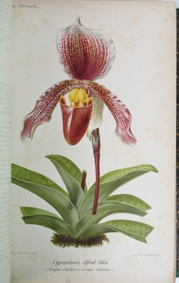 une photo d'un livre sur lequel figure l'image d'une fleur