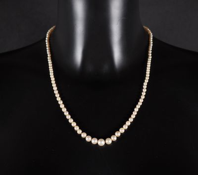 a pearl necklace on a mannequin mannequin mannequin mannequin mannequin mannequin mannequin mannequin mannequin