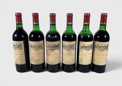 six bouteilles de vin sont alignées sur une surface blanche
