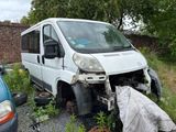 une camionnette blanche garée dans l'herbe