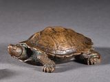 two small bronze turtles sitting next to each other on a gray surface