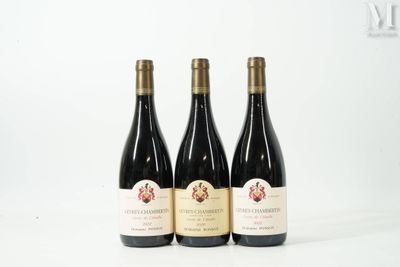 trois bouteilles de vin sont alignées sur une surface blanche