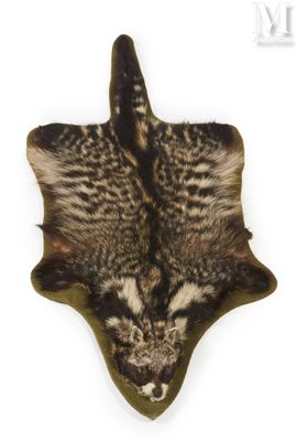 an image of a cat ' s head is shown on a wall