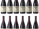 a bunch of bottles of wine sitting next to each other
