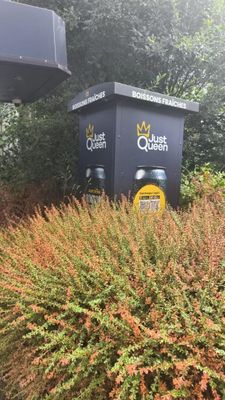 a trash can sitting in the middle of a bush