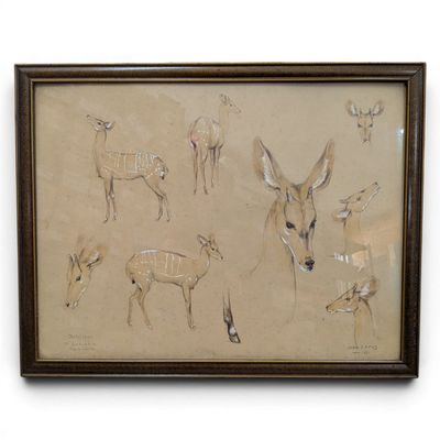 drawing of a deer, antelope, and other animals in a brown frame