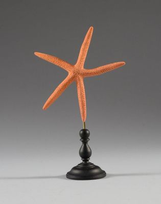 une étoile de mer orange posée sur un socle noir, sur fond gris
