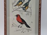 two birds sitting on a branch in a picture frame