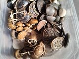 a plastic container filled with lots of different types of buttons