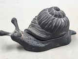 un petit escargot noir qui est posé par terre