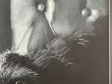 Photo 5/7 du lot