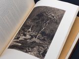 an open book with a picture of a tree in it