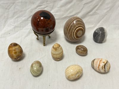 tout un tas de coquillages différents sur la table