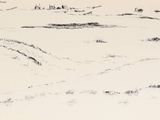 un dessin en noir et blanc représentant un cheval dans un champ