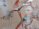 two birds sitting on a branch of a pine tree