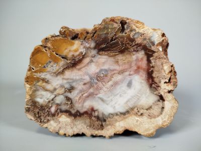 a large piece of rock that is sitting on top of a table