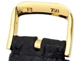 black and gold watch strap with a gold buckle on a white background