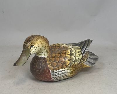 un canard assis par terre sur un fond blanc