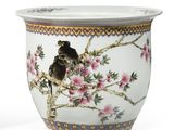 a bird sitting on a branch of a tree in a flower pot