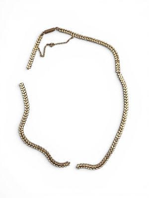 a gold chain necklace with a snake clasp on a white background