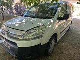 une camionnette blanche garée sous un arbre, sur l'herbe
