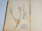 a picture of a book with a plant in it