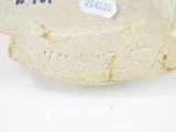 a stone sculpture of a bird with a tag on it ' s neck