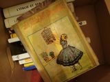 a book in a box with a picture of a girl holding a birdcage
