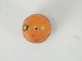 a piece of fruit that has been cut in half
