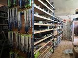 many skis and snowboards on the shelves in the store