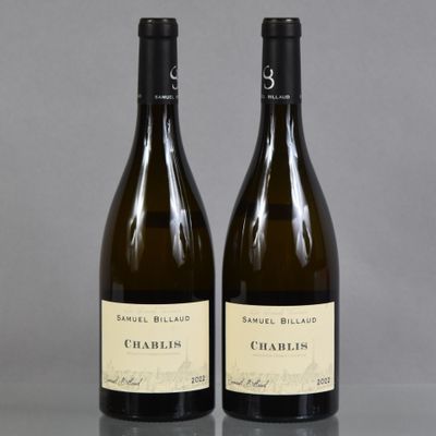 deux bouteilles de vin blanc posées l'une à côté de l'autre sur une table