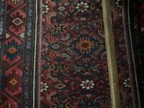 a cat that is sitting on a rug on the floor
