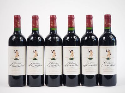 six bouteilles de vin rouge alignées sur une surface blanche