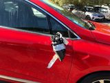 a dog sticking its head out of the window of a car